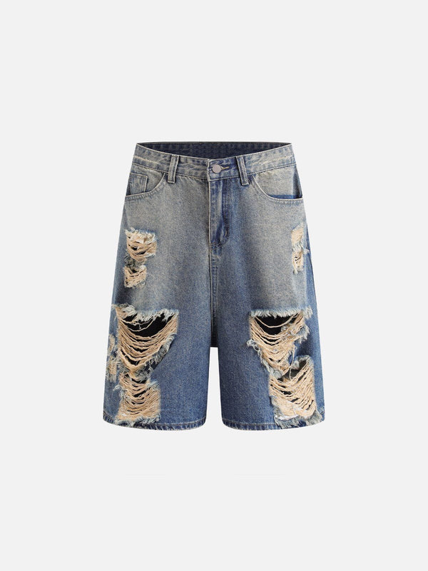 Fushya Multi Distressed Jorts